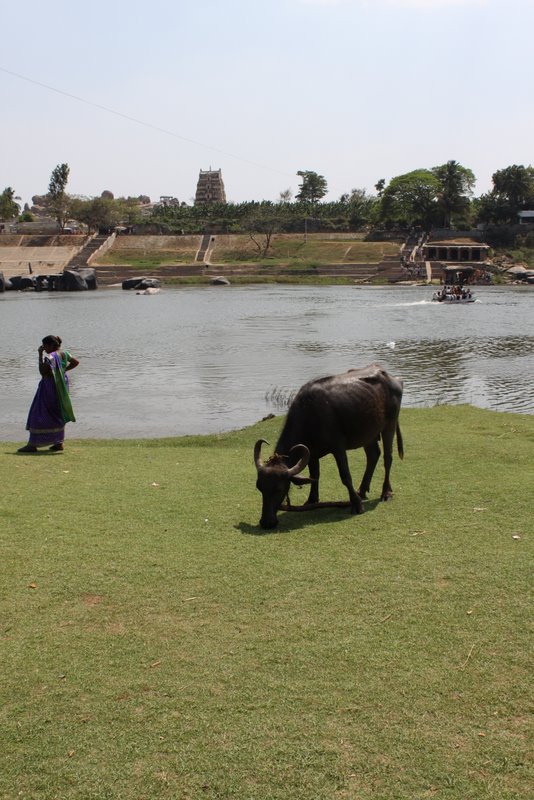 India 2010 - Hampi - Virupapur Gaddi - Tungabhadra River